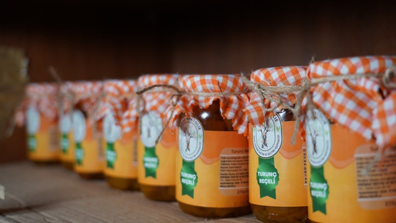 TURUNÇ REÇELİ 370 Gr