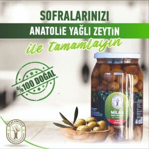 Milas Yağlı Zeytin 1.000 Gr