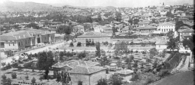 ZEYTİNİN BAŞKENTİ MİLAS